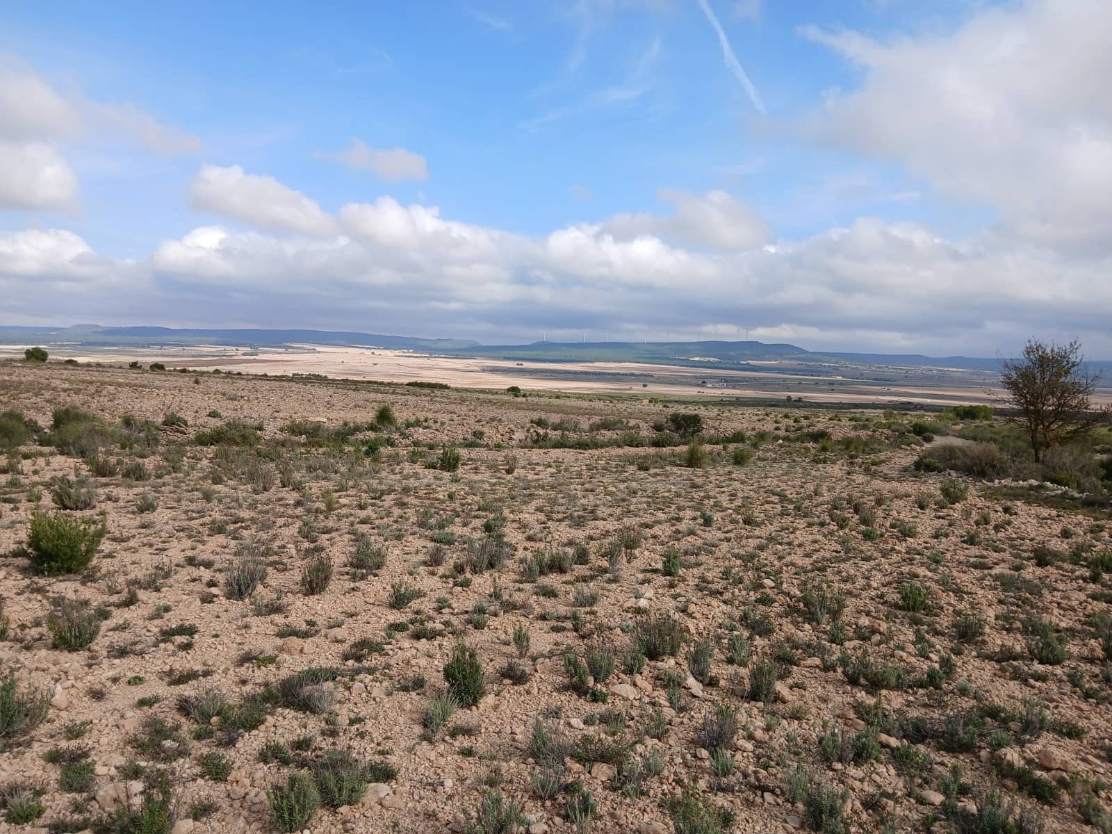 Grond te koop in Yecla - € 570.000 (Ref: 10177604)