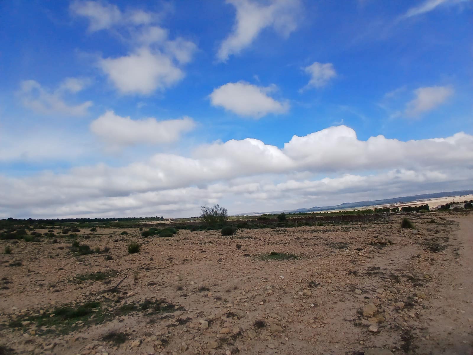 Grond te koop in Yecla - € 570.000 (Ref: 10177604)