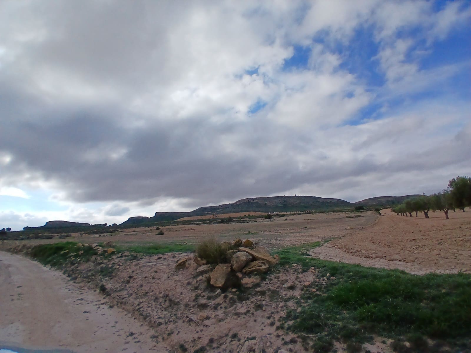 Grond te koop in Yecla - € 570.000 (Ref: 10177604)