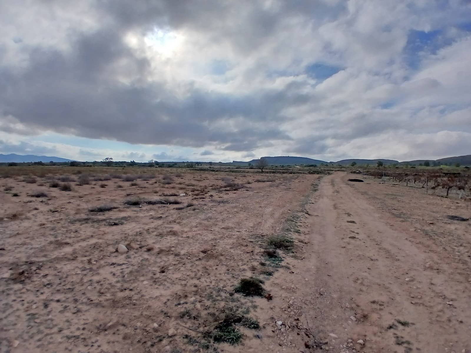 Grond te koop in Yecla - € 570.000 (Ref: 10177604)