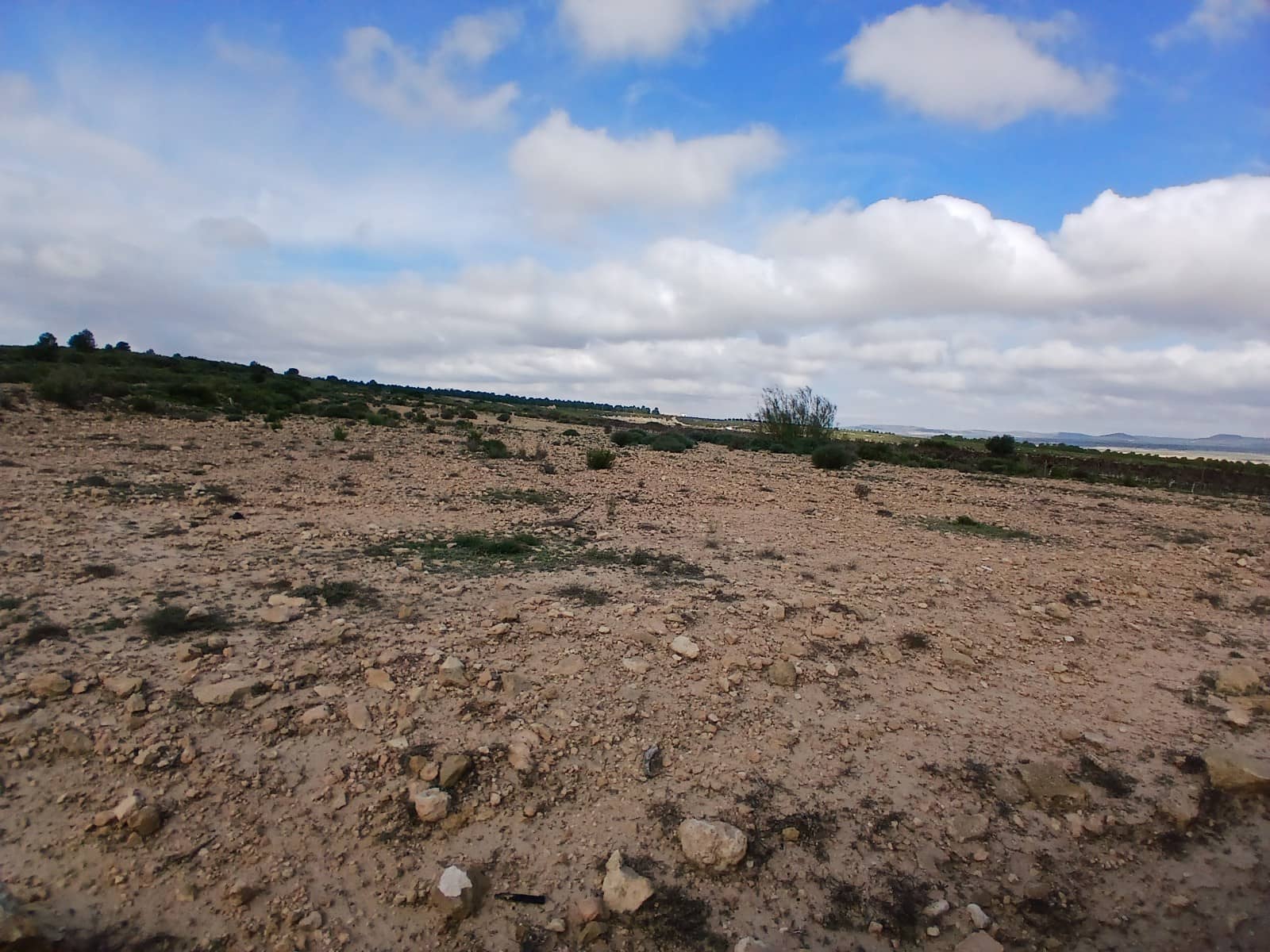 Grond te koop in Yecla - € 570.000 (Ref: 10177604)