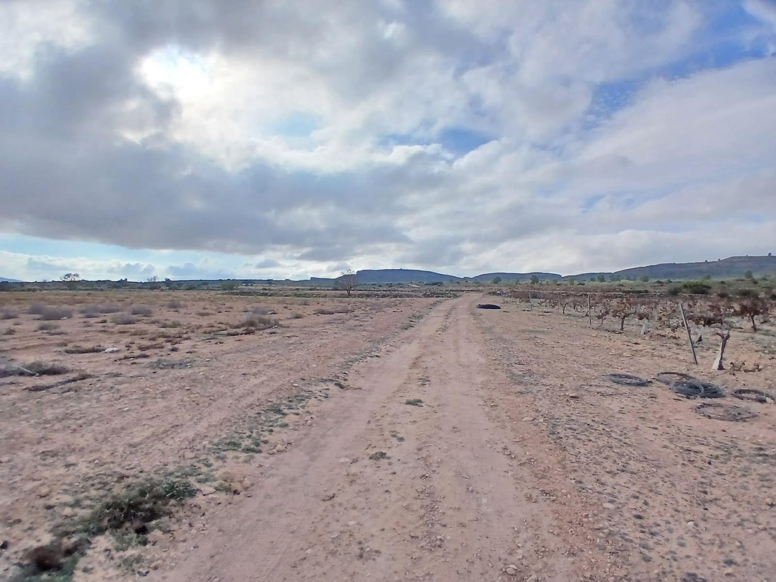 Grond te koop in Yecla - € 570.000 (Ref: 10177604)