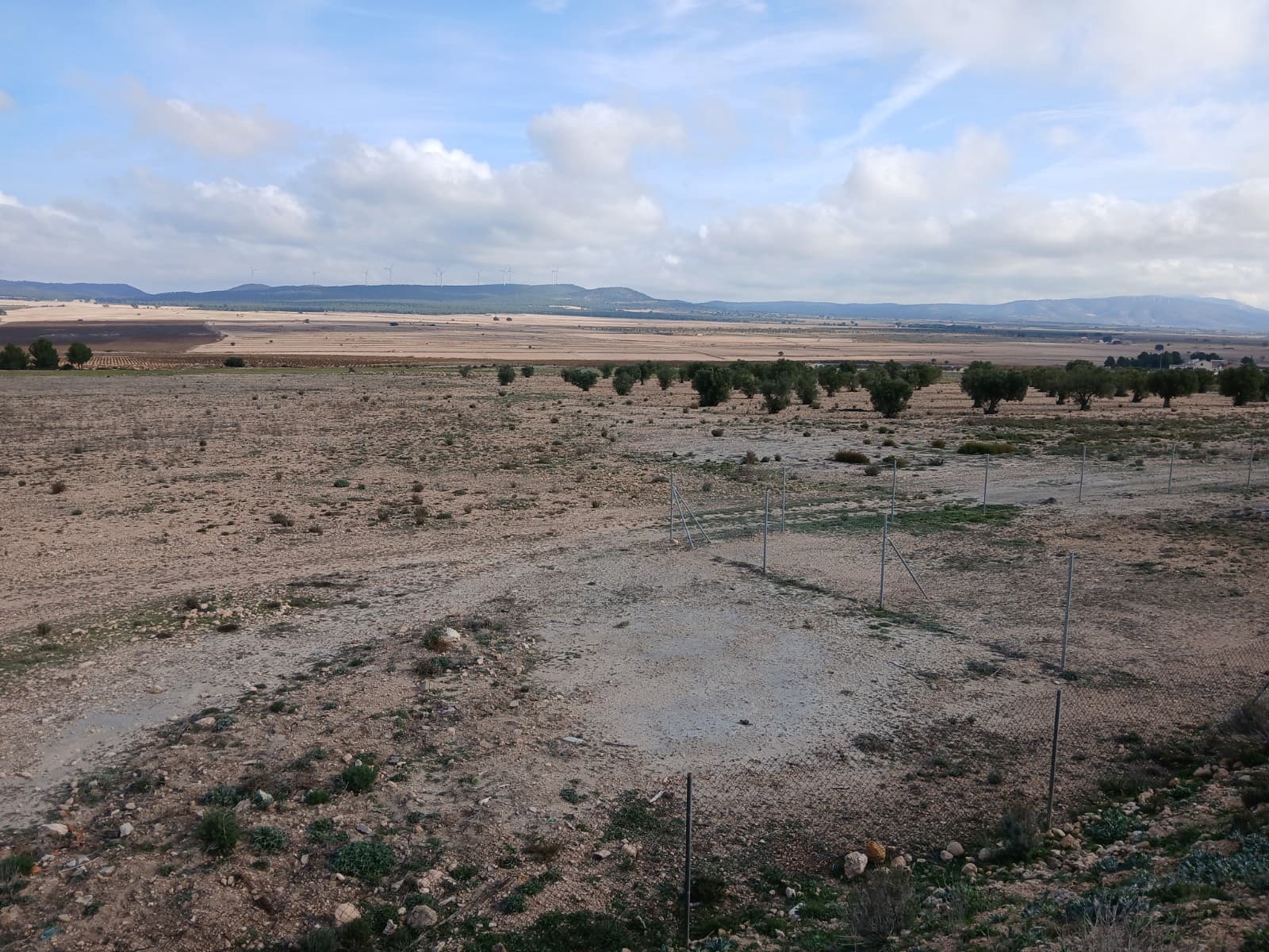 Grond te koop in Yecla - € 570.000 (Ref: 10177604)