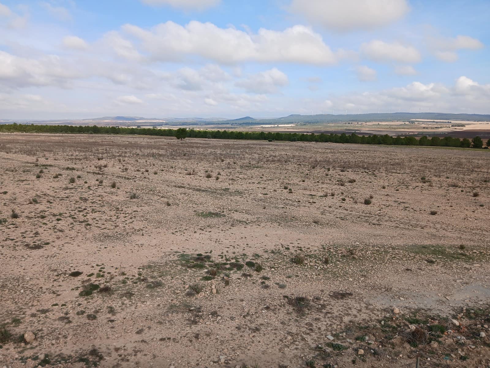 Grond te koop in Yecla - € 570.000 (Ref: 10177604)