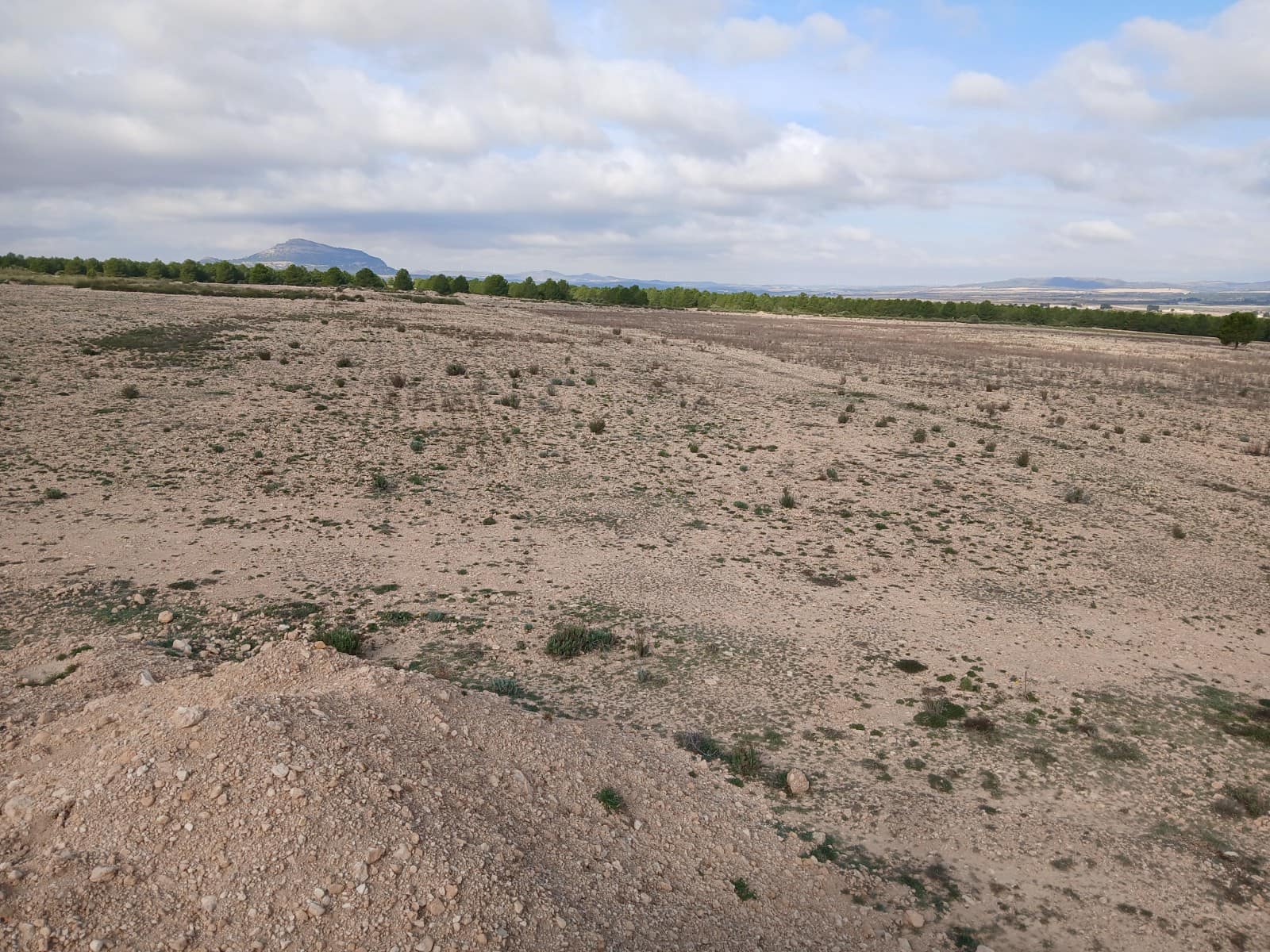 Grond te koop in Yecla - € 570.000 (Ref: 10177604)
