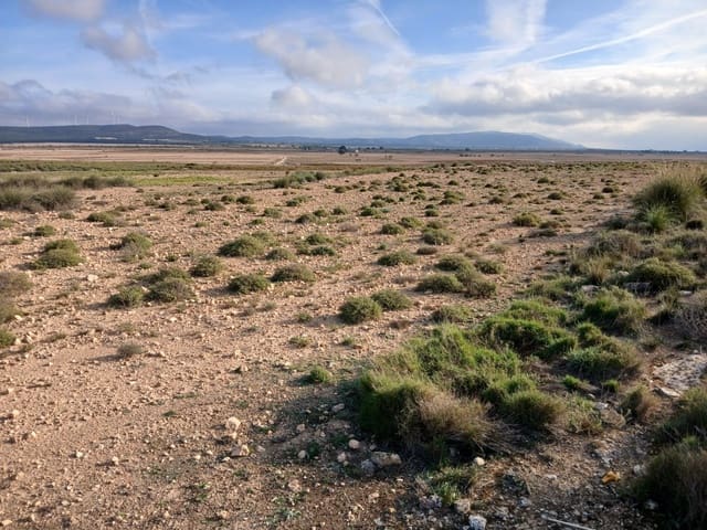 Terre non Aménagée à vendre à Yecla - 28 000 € (Ref: 10177605)