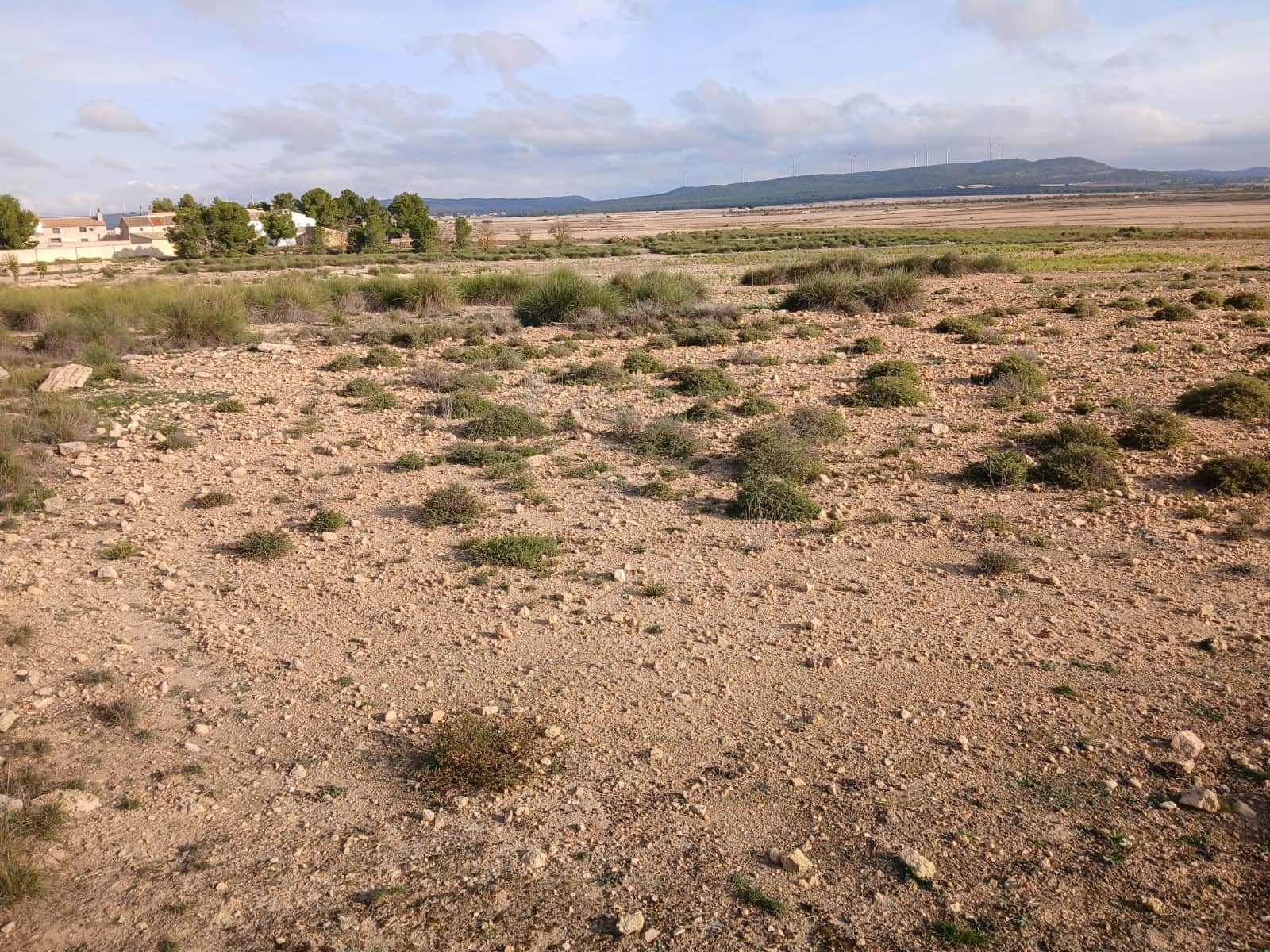 Grunde uden byggetilladelser til salg i Yecla - € 28.000 (Ref: 10177605)