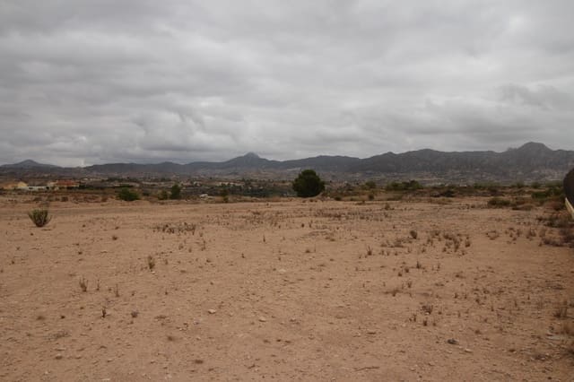 Terreno/Finca Rústica en Abanilla en venta - 43.000 € (Ref: 10177607)