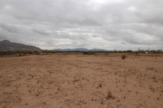Terreno/Finca Rústica en Abanilla en venta - 43.000 € (Ref: 10177607)