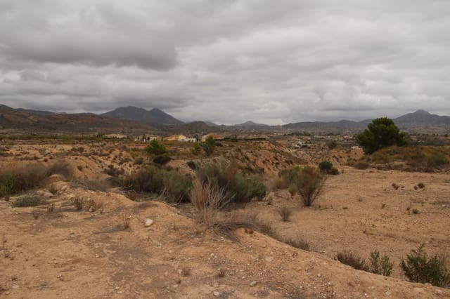 Terreno/Finca Rústica en Abanilla en venta - 43.000 € (Ref: 10177607)