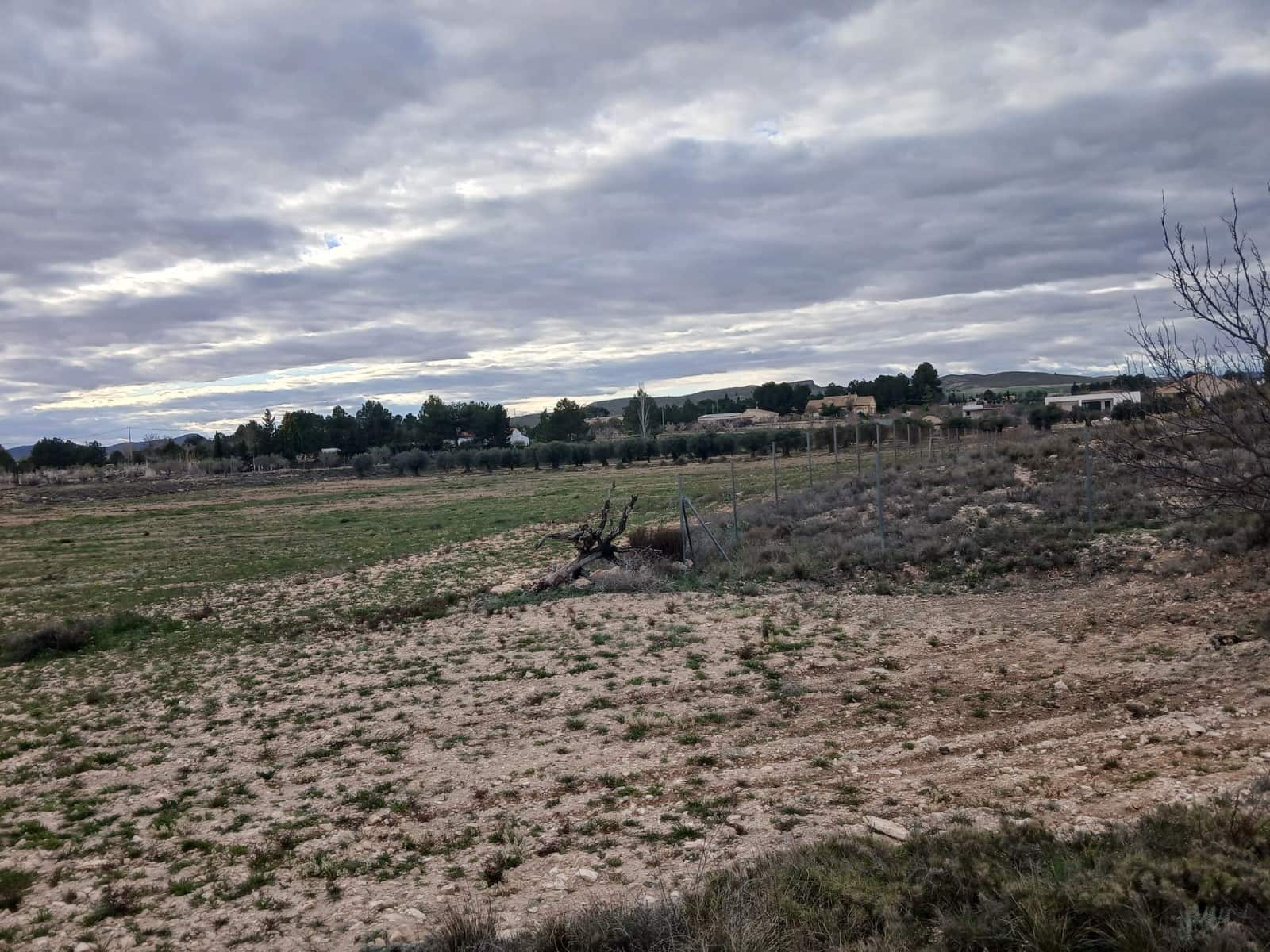 Grunde uden byggetilladelser til salg i Yecla - € 32.000 (Ref: 10177608)