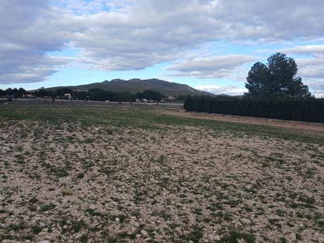 Undeveloped Land for sale in Yecla - € 32,000 (Ref: 10177608)