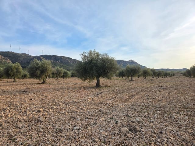 Terreno/Finca Rústica en Jumilla en venta - 65.000 € (Ref: 10177609)