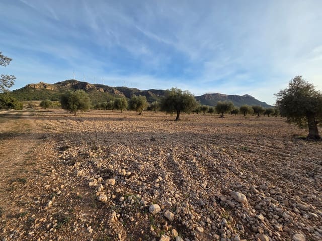 Terreno/Finca Rústica en Jumilla en venta - 65.000 € (Ref: 10177609)