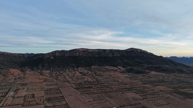 Terreno/Finca Rústica en Jumilla en venta - 65.000 € (Ref: 10177609)