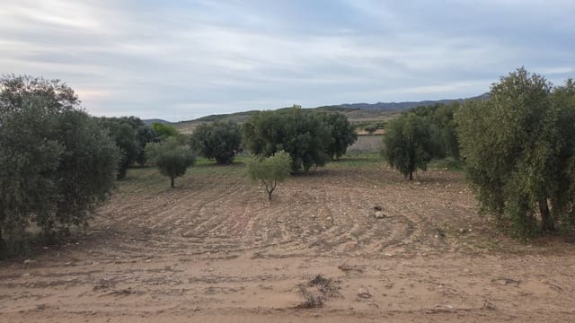 Ubebygd land til salgs i Jumilla - € 25 000 (Ref: 10177610)