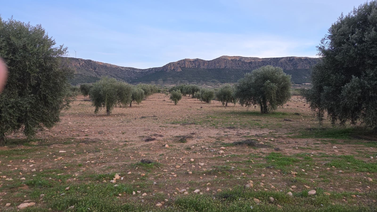 Ubebygd land til salgs i Jumilla - € 20 000 (Ref: 10177611)