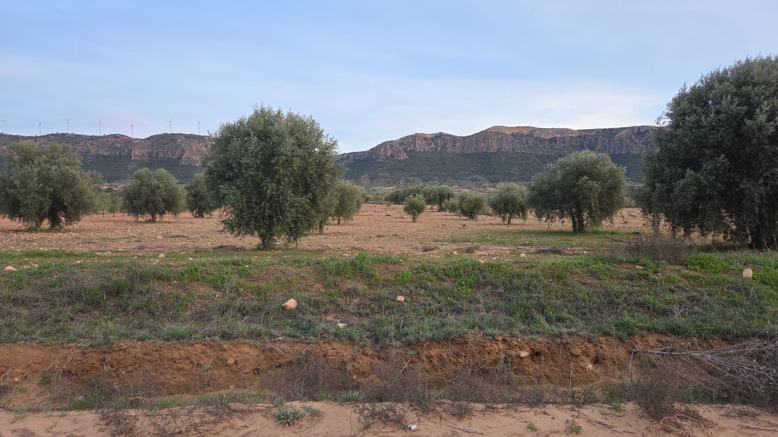 Ubebygd land til salgs i Jumilla - € 20 000 (Ref: 10177611)