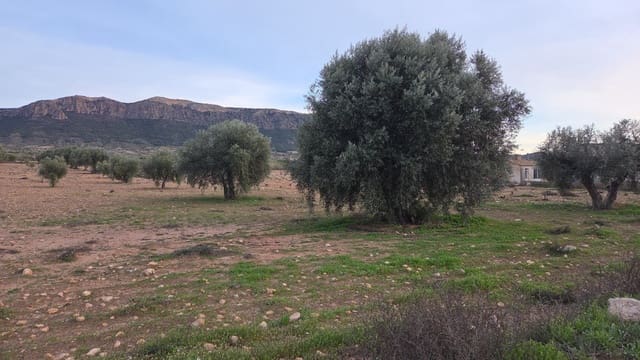 Grond te koop in Jumilla - € 20.000 (Ref: 10177611)