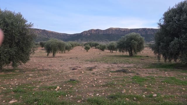 Grond te koop in Jumilla - € 20.000 (Ref: 10177611)