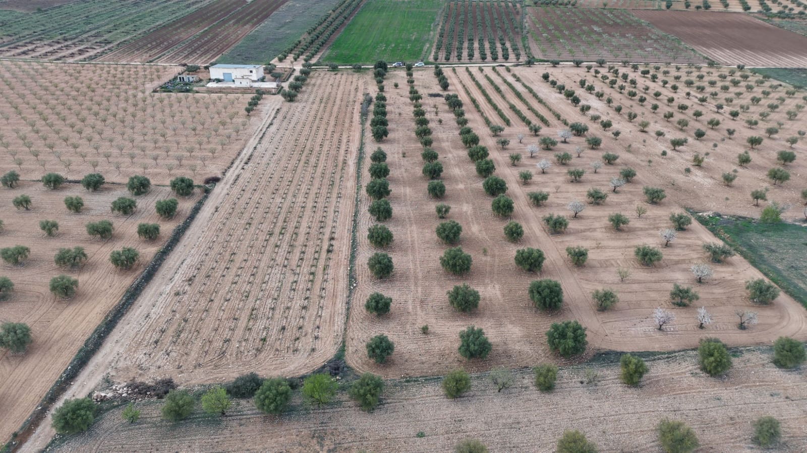 Ubebygd land til salgs i Jumilla - € 20 000 (Ref: 10177611)