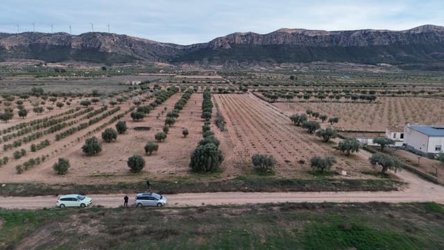 Grond te koop in Jumilla - € 20.000 (Ref: 10177611)