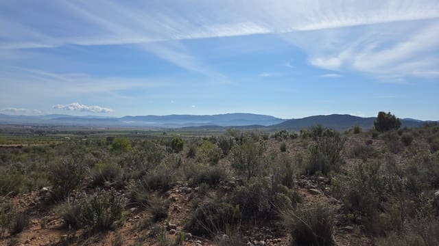 Terre non Aménagée à vendre à Yecla - 25 000 € (Ref: 10177612)
