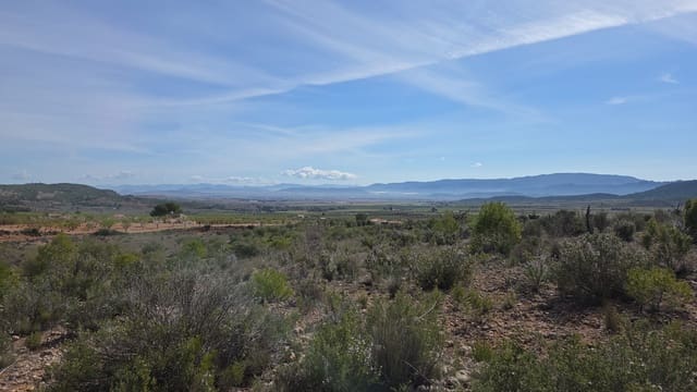 Terre non Aménagée à vendre à Yecla - 25 000 € (Ref: 10177612)