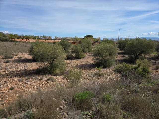 Terre non Aménagée à vendre à Yecla - 25 000 € (Ref: 10177612)