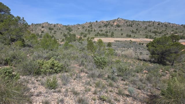 Terre non Aménagée à vendre à Yecla - 25 000 € (Ref: 10177612)