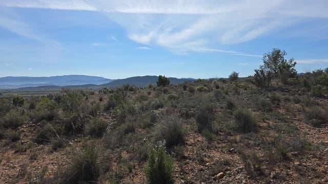 Terre non Aménagée à vendre à Yecla - 25 000 € (Ref: 10177612)