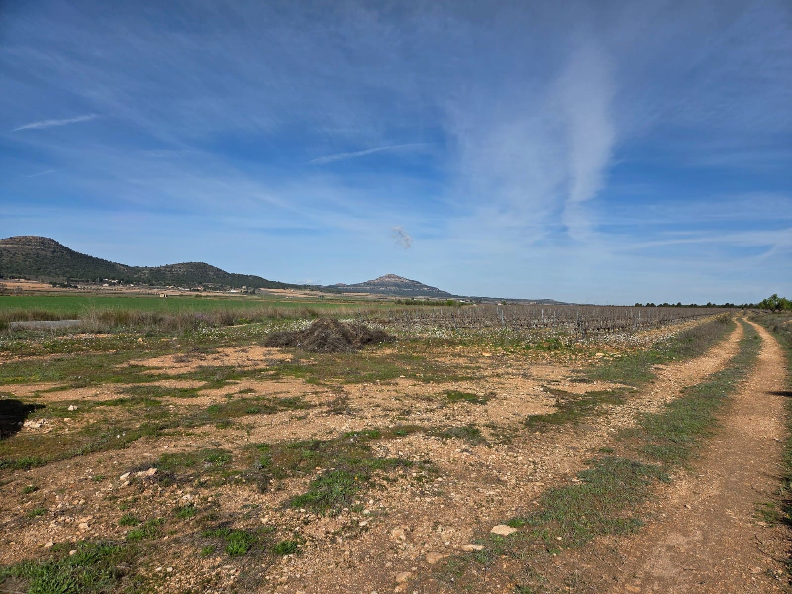Terre non Aménagée à vendre à Yecla - 40 000 € (Ref: 10177613)