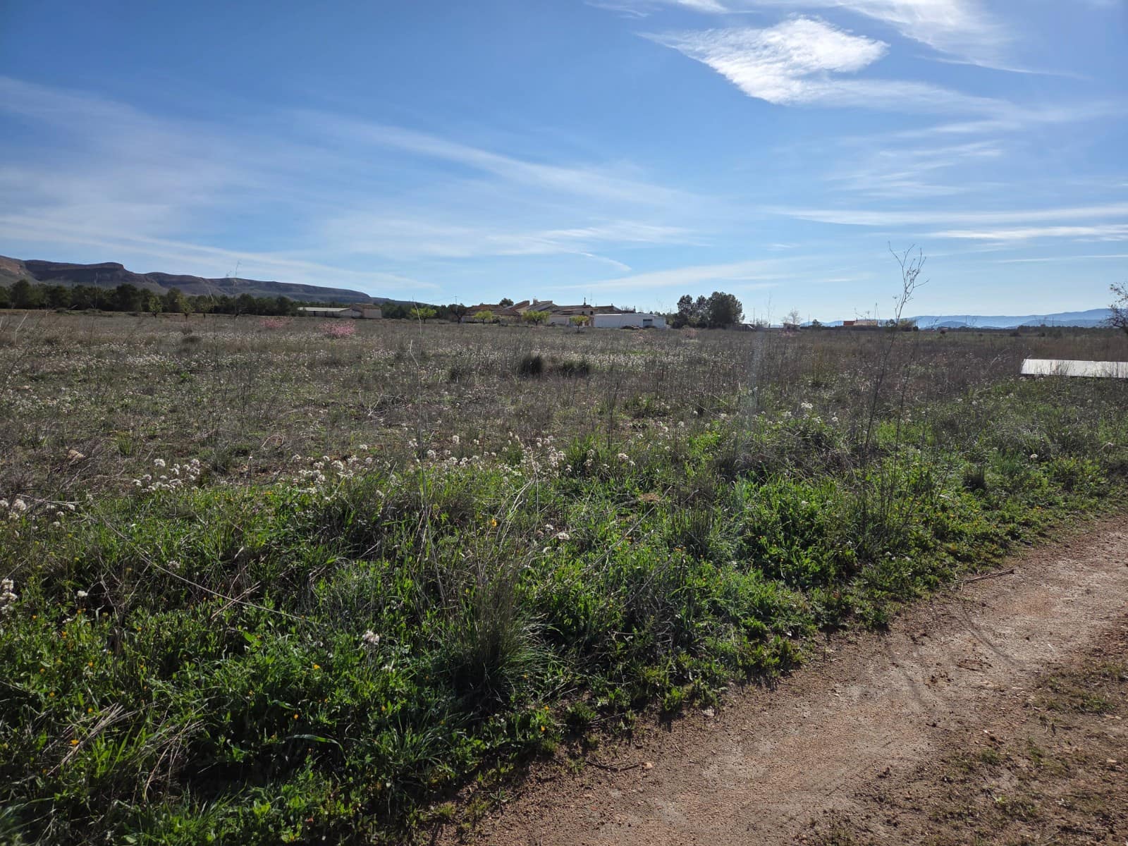 Terre non Aménagée à vendre à Yecla - 40 000 € (Ref: 10177613)