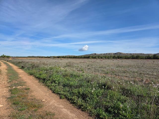 Terreno Non Edificato in vendita in Yecla - 40.000 € (Rif: 10177613)