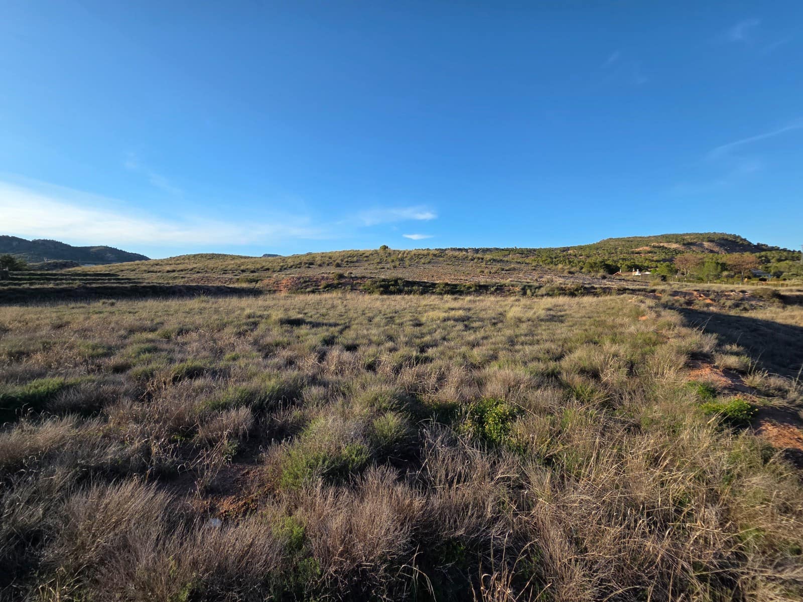 Undeveloped Land for sale in Yecla - € 61,000 (Ref: 10177614)