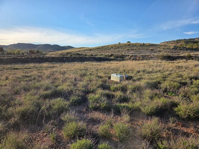 Undeveloped Land for sale in Yecla - € 61,000 (Ref: 10177614)