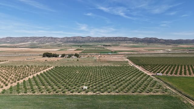 Terre non Aménagée à vendre à Yecla - 50 000 € (Ref: 10177615)