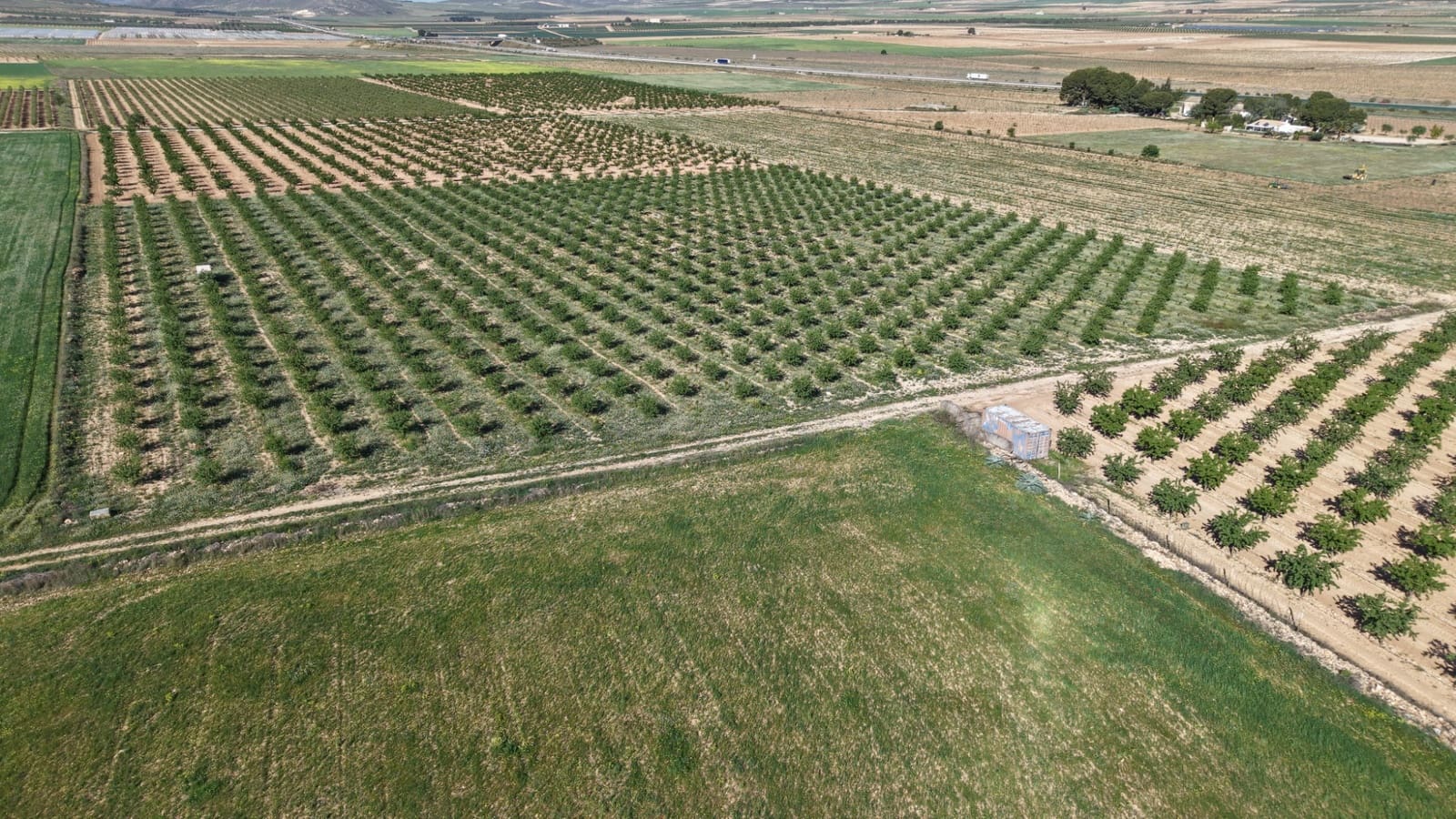Terre non Aménagée à vendre à Yecla - 50 000 € (Ref: 10177615)