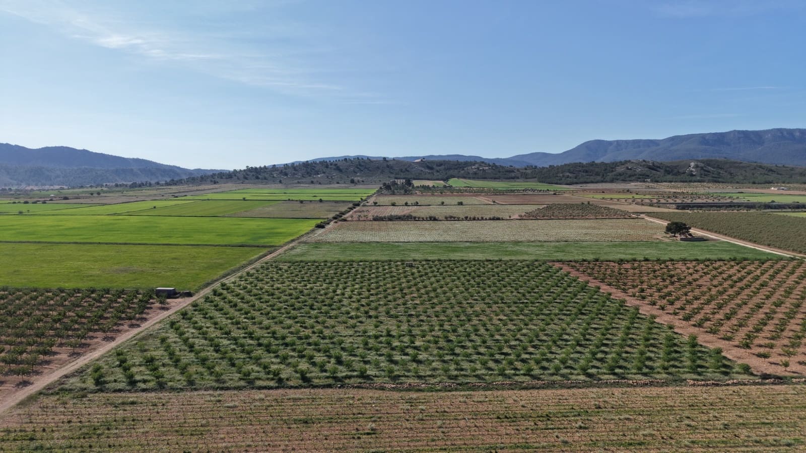 Terre non Aménagée à vendre à Yecla - 50 000 € (Ref: 10177615)