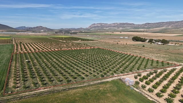 Terre non Aménagée à vendre à Yecla - 50 000 € (Ref: 10177615)