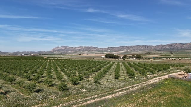Terre non Aménagée à vendre à Yecla - 50 000 € (Ref: 10177615)
