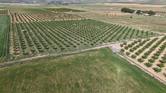 Terre non Aménagée à vendre à Yecla - 50 000 € (Ref: 10177615)