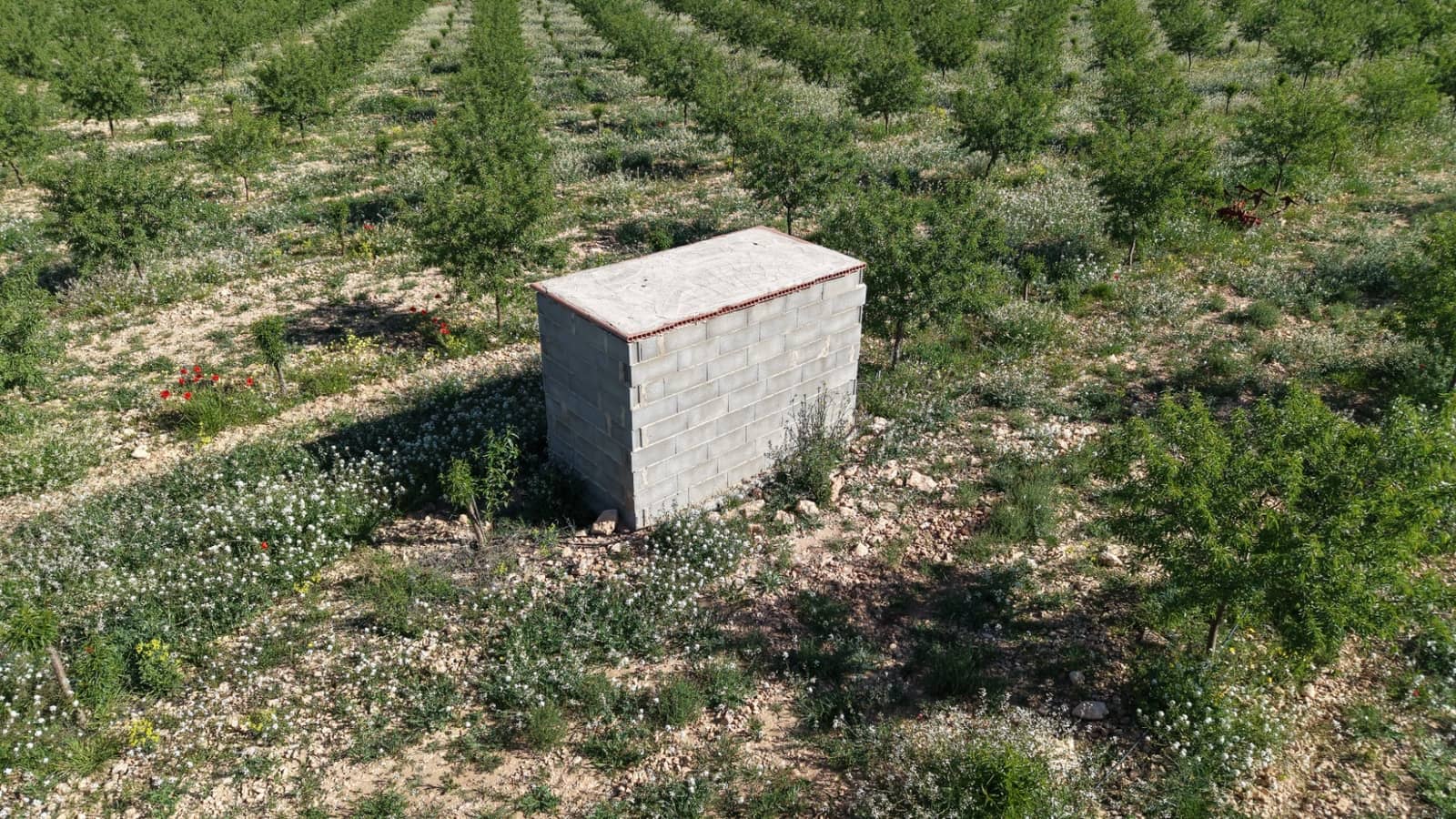 Terre non Aménagée à vendre à Yecla - 50 000 € (Ref: 10177615)