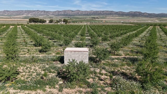 Terre non Aménagée à vendre à Yecla - 50 000 € (Ref: 10177615)