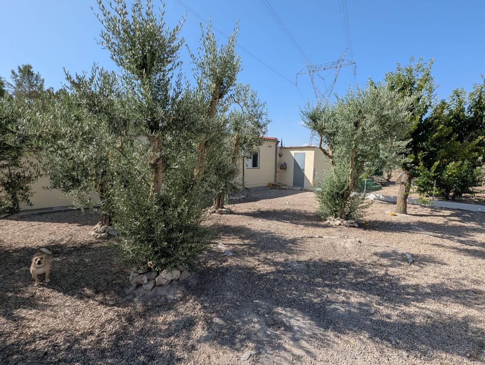 3 slaapkamer Finca/Landhuis te koop in Sax met zwembad - € 209.000 (Ref: 10177616)