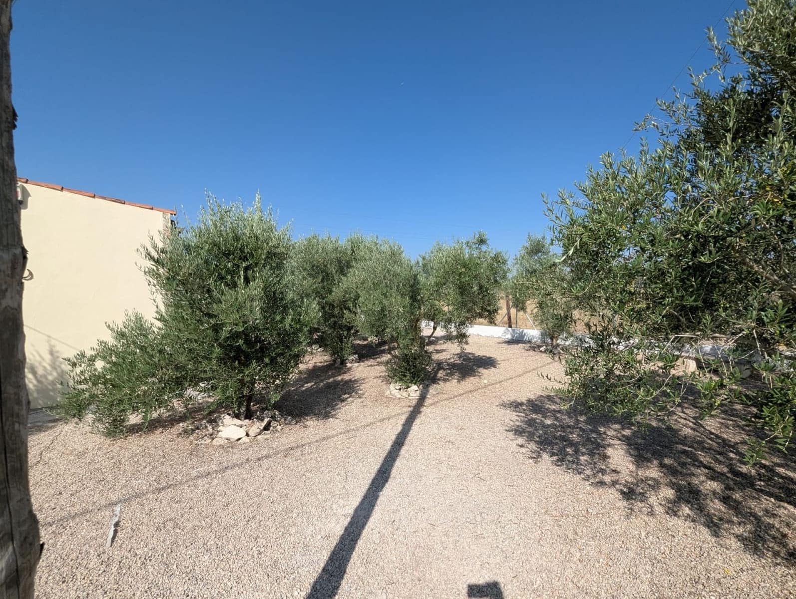 3 slaapkamer Finca/Landhuis te koop in Sax met zwembad - € 209.000 (Ref: 10177616)