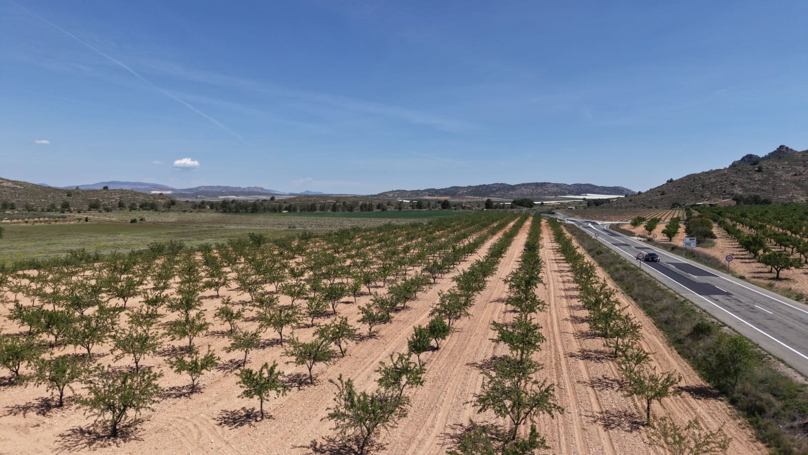 Terre non Aménagée à vendre à Yecla - 48 000 € (Ref: 10177617)