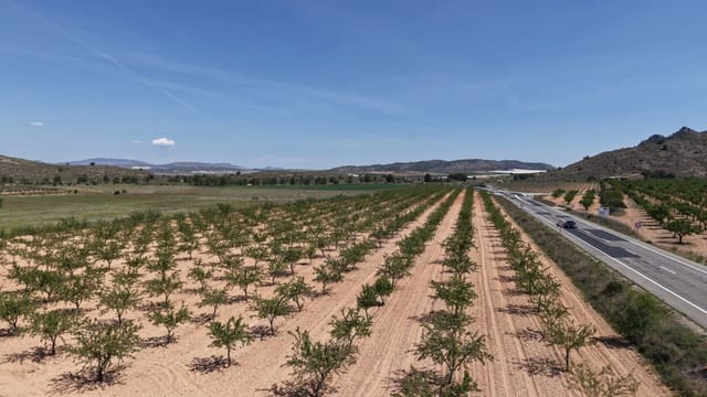 Terre non Aménagée à vendre à Yecla - 48 000 € (Ref: 10177617)
