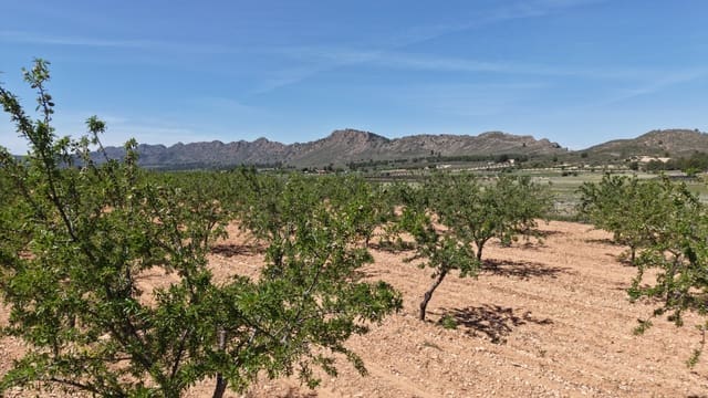 Terre non Aménagée à vendre à Yecla - 48 000 € (Ref: 10177617)
