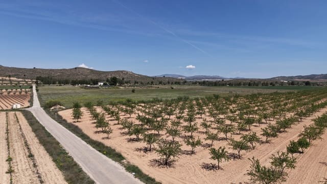 Terre non Aménagée à vendre à Yecla - 48 000 € (Ref: 10177617)